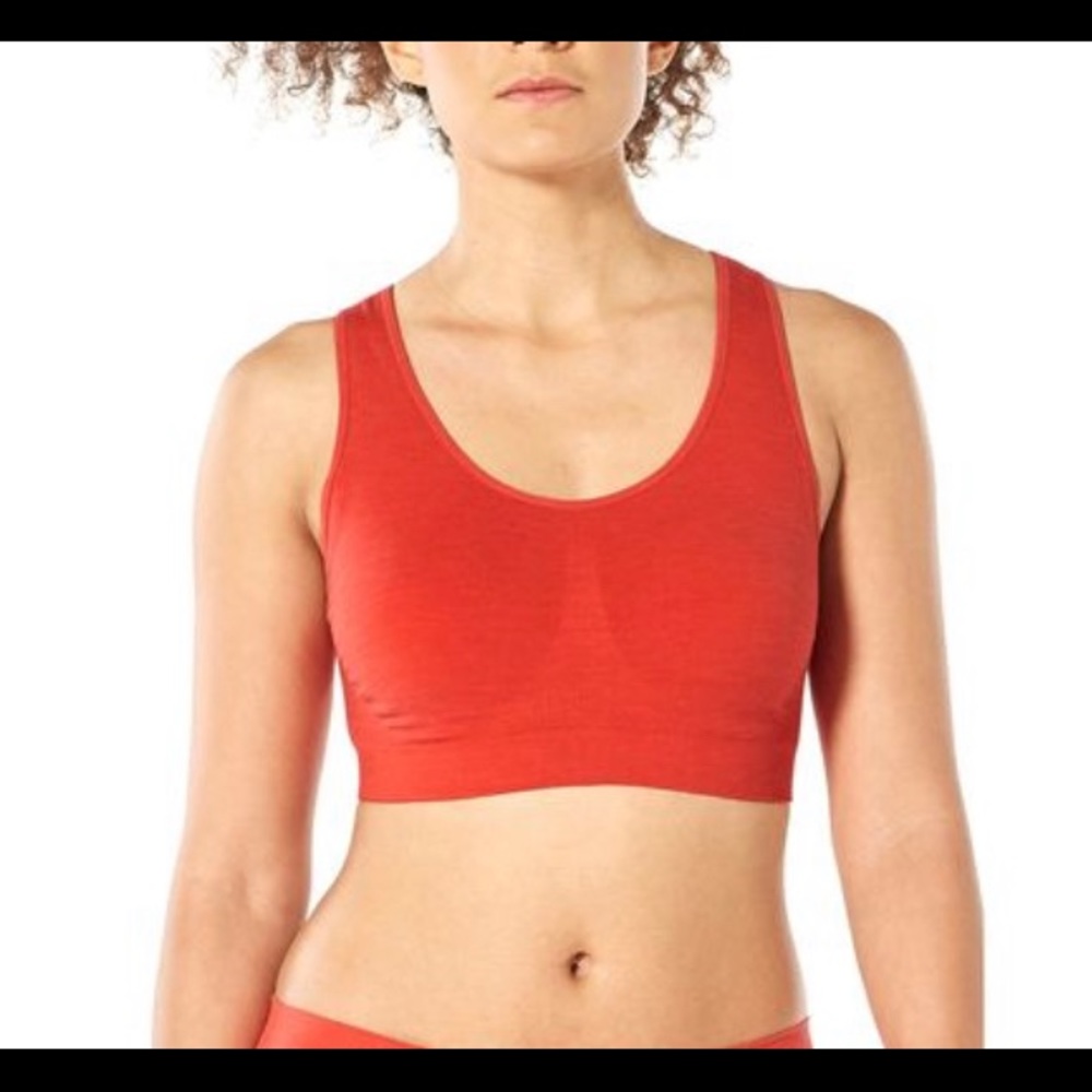 Used Icebreaker Anatomica Seamless Sports Bra Size M